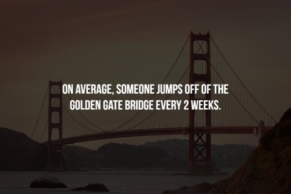 fixed link - On Average, Someone Jumps Off Of The Golden Gate Bridge Every 2 Weeks.