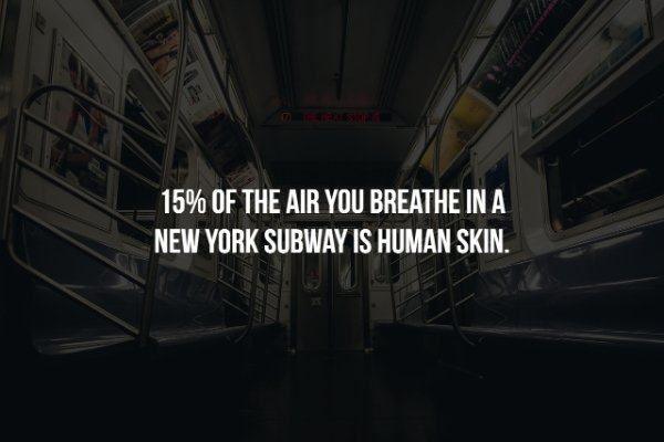 darkness - 15% Of The Air You Breathe In A New York Subway Is Human Skin.