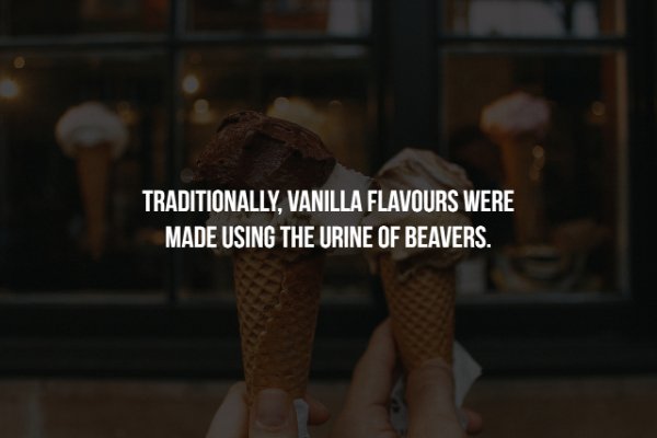 blended marketing - Traditionally, Vanilla Flavours Were Made Using The Urine Of Beavers.
