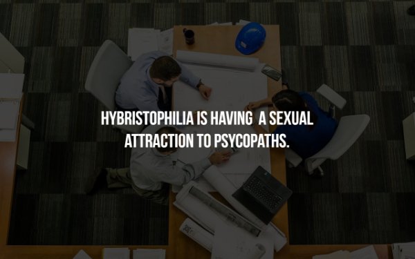 Project - Hybristophilia Is Having A Sexual Attraction To Psycopaths.