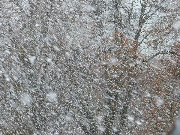 Blizzards can be so windy that snowflakes can feel like pebbles being thrown at your face.