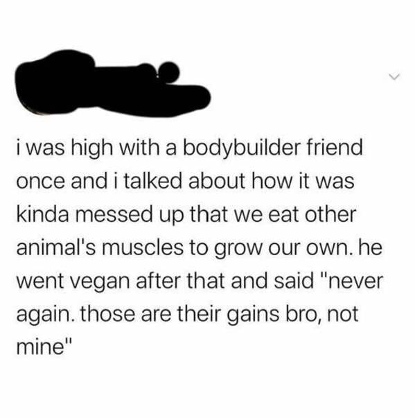 same soup just reheated - i was high with a bodybuilder friend once and i talked about how it was kinda messed up that we eat other animal's muscles to grow our own. he went vegan after that and said "never again. those are their gains bro, not mine"