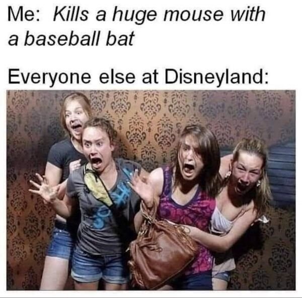 funny pics - Me Kills a huge mouse with a baseball bat Everyone else at Disneyland