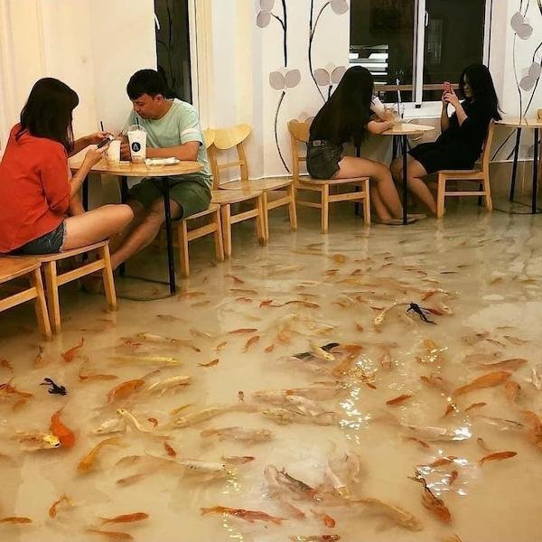 funny pics - vietnam fish cafe