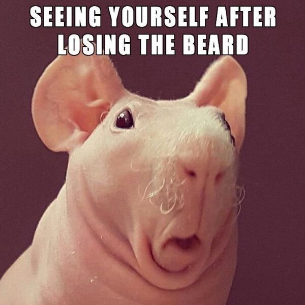 funny pics - shaved beard meme - Seeing Yourself After Losing The Beard