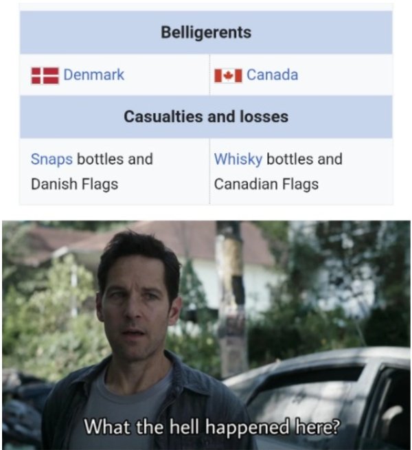 funny memes reddit memes - Belligerents Denmark 1. Canada Casualties and losses Snaps bottles and Danish Flags Whisky bottles and Canadian Flags What the hell happened here?