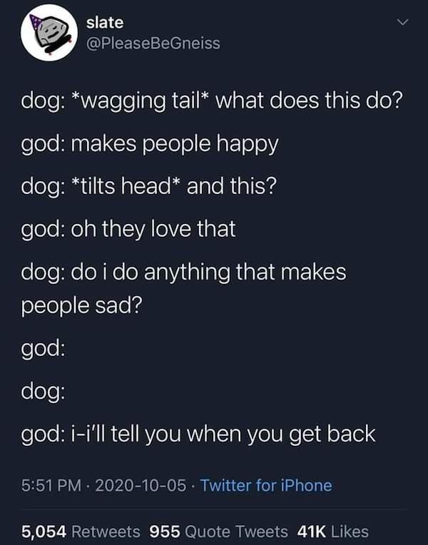 screenshot - slate dog wagging tail what does this do? god makes people happy dog tilts head and this? god oh they love that dog do i do anything that makes people sad? god dog god ii'll tell you when you get back . Twitter for iPhone 5,054 955 Quote Twee