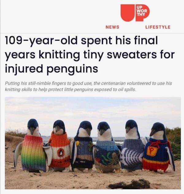 penguin wearing clothes - Up Wor Thy News Lifestyle 109yearold spent his final years knitting tiny sweaters for injured penguins Putting his stillnimble fingers to good use, the centenarian volunteered to use his knitting skills to help protect little pen