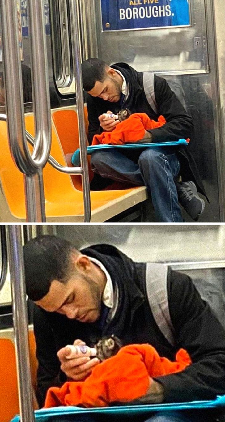 man spotted with tiny kitten on subway - Boroughs.