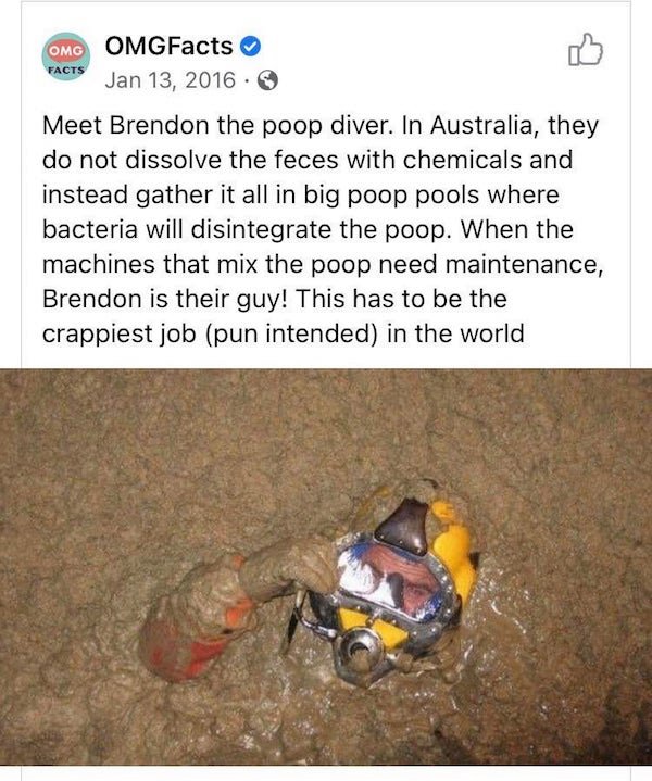 soil - Omg OMGFacts Facts Meet Brendon the poop diver. In Australia, they do not dissolve the feces with chemicals and instead gather it all in big poop pools where bacteria will disintegrate the poop. When the machines that mix the poop need maintenance,