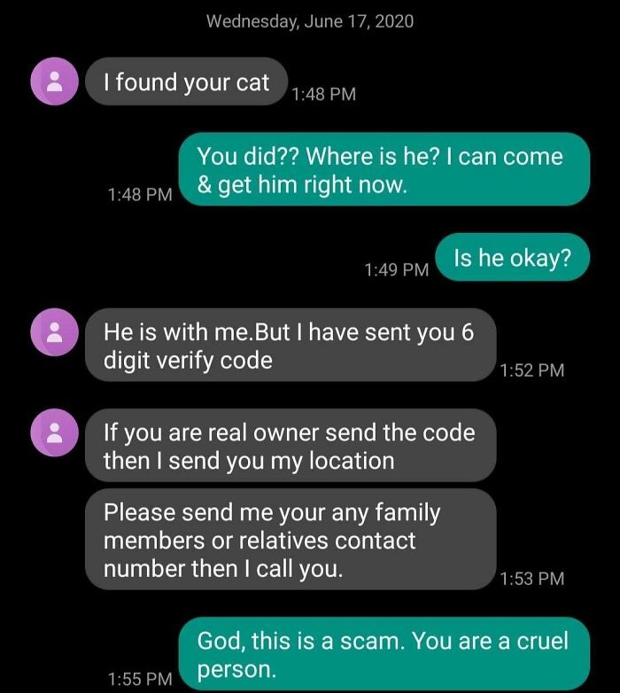 screenshot - Wednesday, I found your cat You did?? Where is he? I can come & get him right now. Is he okay? He is with me.But I have sent you 6 digit verify code If you are real owner send the code then I send you my location Please send me your any famil