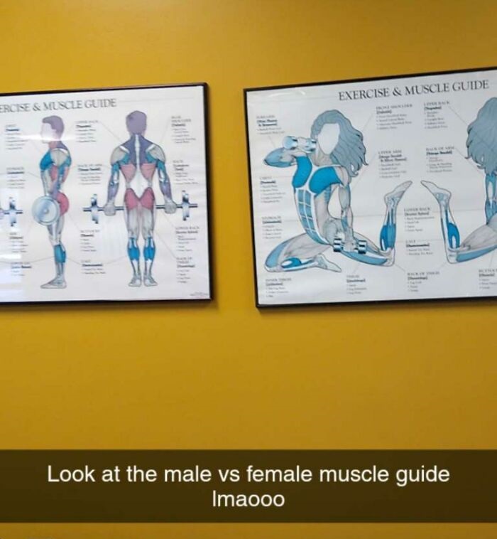 human - Exercise & Muscle Guide Ercise & Muscle Guide Look at the male vs female muscle guide Imaooo