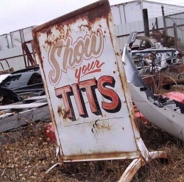 car - your Tits