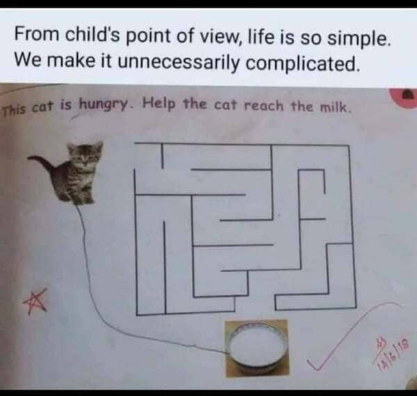 funny jokes for geniuses - From child's point of view, life is so simple. We make it unnecessarily complicated. This cat is hungry. Help the cat reach the milk. A19