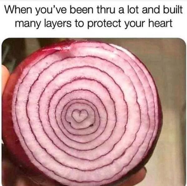 onion meme - When you've been thru a lot and built many layers to protect your heart