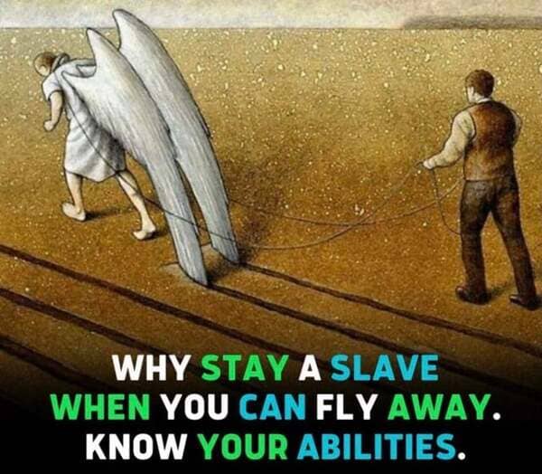 useful pawel kuczynski - Why Stay A Slave When You Can Fly Away. Know Your Abilities.