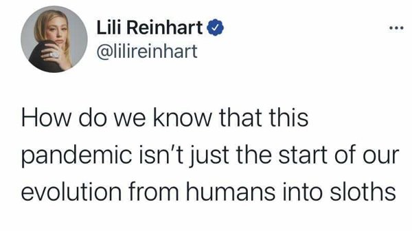 paper - Lili Reinhart How do we know that this pandemic isn't just the start of our evolution from humans into sloths