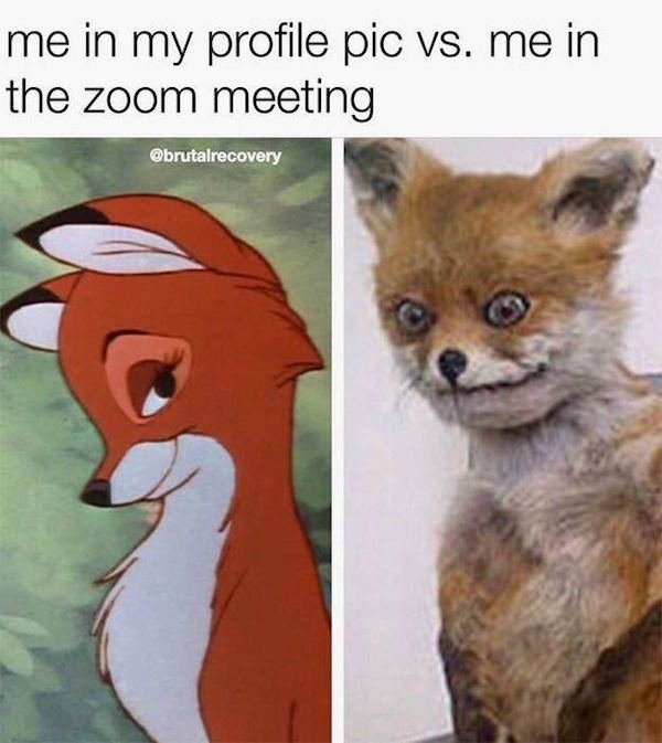 funny meme - me in my profile pic vs. me in the zoom meeting