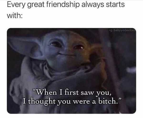 Yoda - Every great friendship always starts with ig babyyodavibes "When I first saw you, I thought you were a bitch."