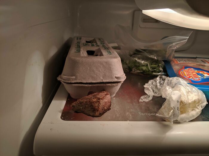 funny bad roommate pics - piece of steak put in the fridge