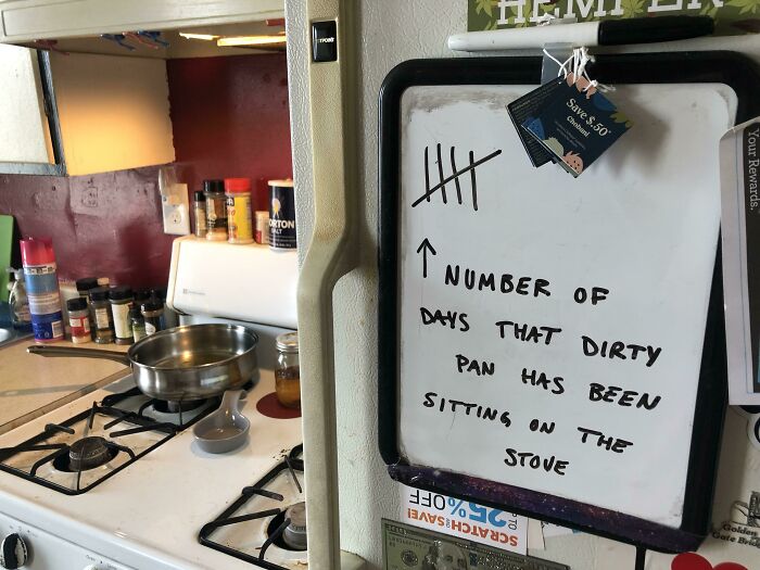 funny bad roommate pics - number of days that dirty pan has been sitting on the stove