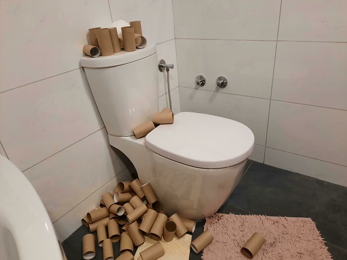funny bad roommate pics - toilet covered in empty toilet paper rolls