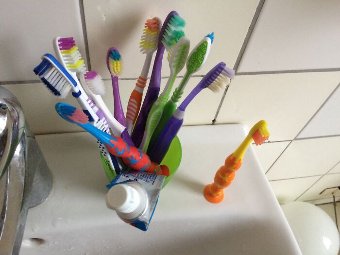 funny bad roommate pics - too many toothbrushes