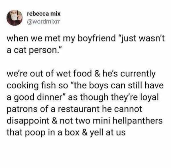 rebecca mix when we met my boyfriend "just wasn't a cat person." we're out of wet food & he's currently cooking fish so "the boys can still have a good dinner" as though they're loyal patrons of a restaurant he cannot disappoint & not two mini hellpanther