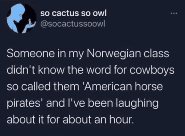 reddit undecided voters - so cactus so owl Someone in my Norwegian class didn't know the word for cowboys so called them 'American horse pirates' and I've been laughing about it for about an hour.