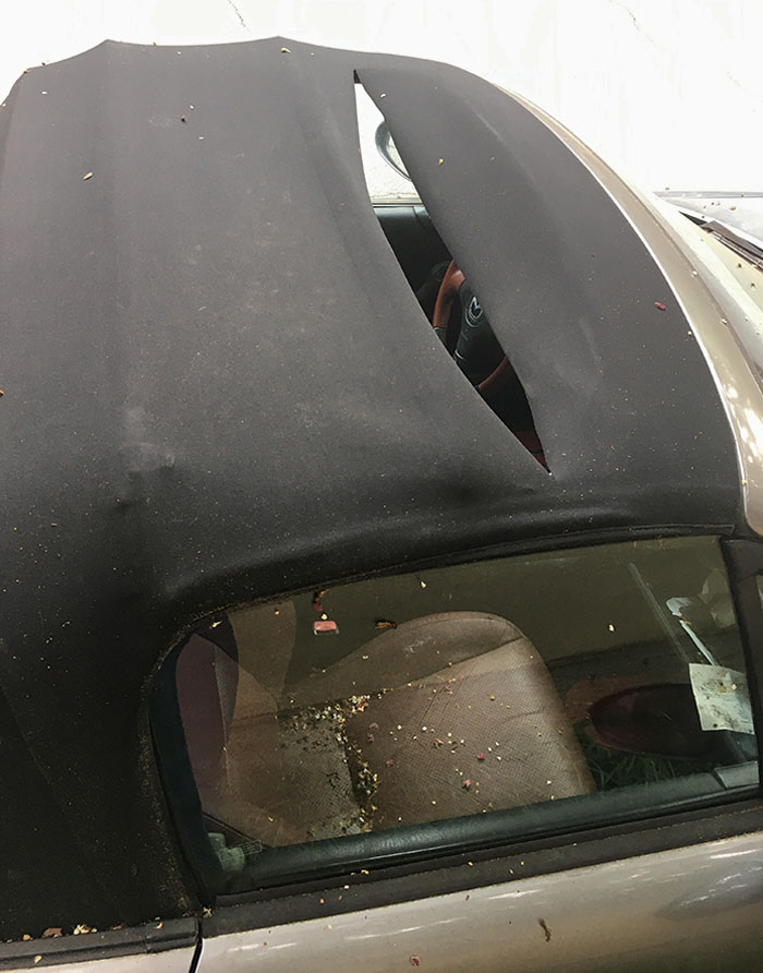 I Found Out Someone Cut Through The Convertible Top Of My Unlocked Car, Then It Rained Inside. I Was Let Go From My Job An Hour Later For Some Extra Spice