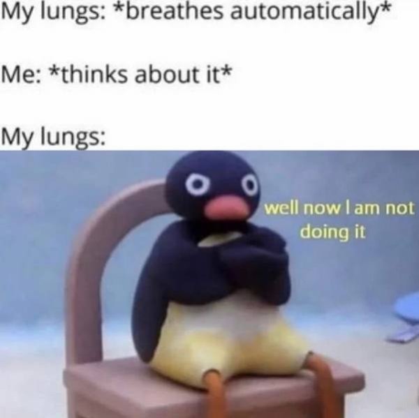 funny pics and memes - now i don t wanna meme - My lungs breathes automatically Me thinks about it My lungs o 0 well now I am not doing it
