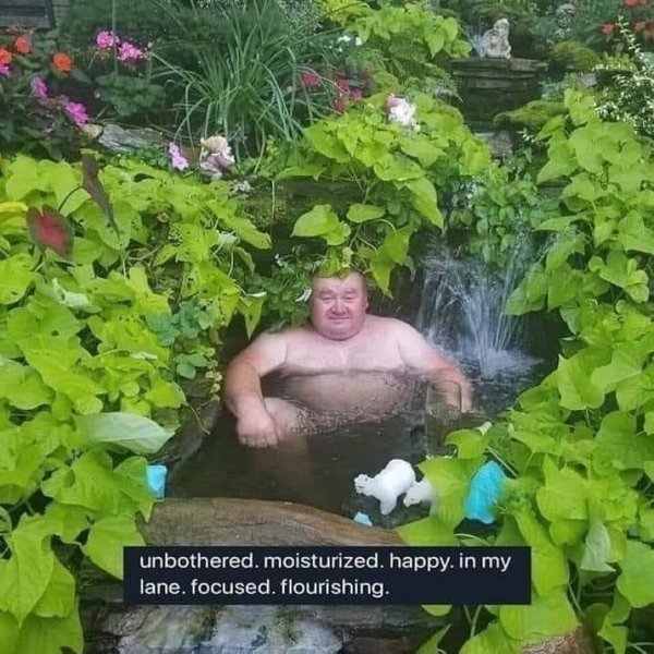 funny pics and memes - man sitting in pond meme - js unbothered, moisturized. happy. in my lane, focused. flourishing.