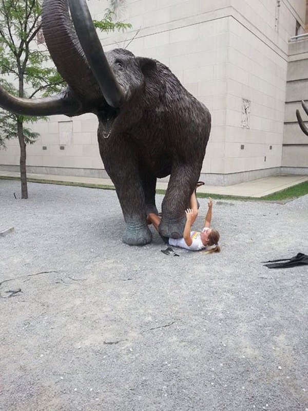 funny pics and memes - elephants and mammoths