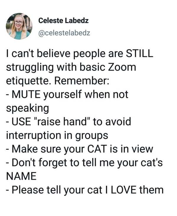 point - Celeste Labedz I can't believe people are Still struggling with basic Zoom etiquette. Remember Mute yourself when not speaking Use "raise hand" to avoid interruption in groups Make sure your Cat is in view Don't forget to tell me your cat's Name P