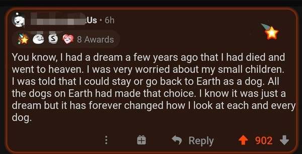 software - Us. 6h S 8 Awards You know, I had a dream a few years ago that I had died and went to heaven. I was very worried about my small children. I was told that I could stay or go back to Earth as a dog. All the dogs on Earth had made that choice. I k