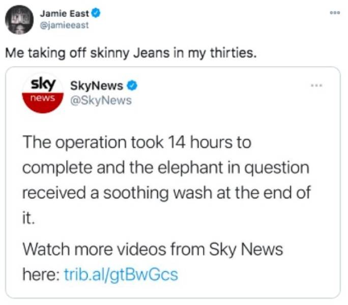 funny aging tweets - Me taking off skinny Jeans in my thirties. - The operation took 14 hours to complete and the elephant in question received a soothing wash at the end of it.