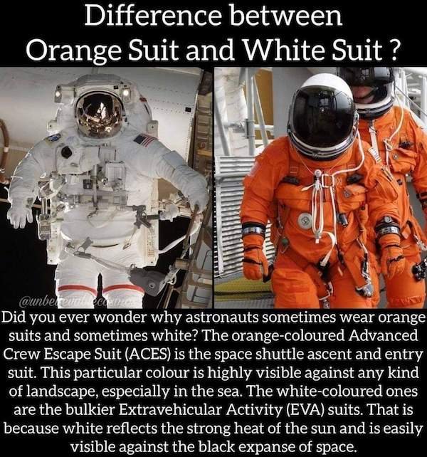 cool stuff - Difference between Orange Suit and White Suit? Did you ever wonder why astronauts sometimes wear orange suits and sometimes white? The orange coloured Advanced Crew Escape Suit Aces is the space shuttle ascent and entry suit.
