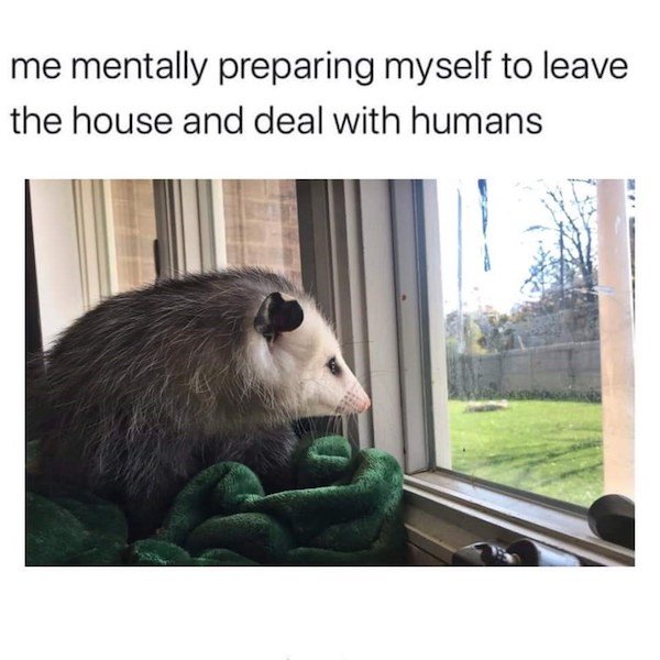 funny depressing memes - me mentally preparing myself to leave the house and deal with humans