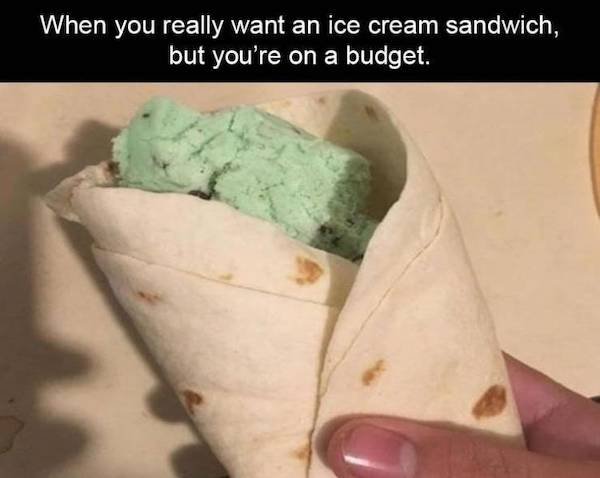 funny depressing memes - When you really want an ice cream sandwich, but you're on a budget.