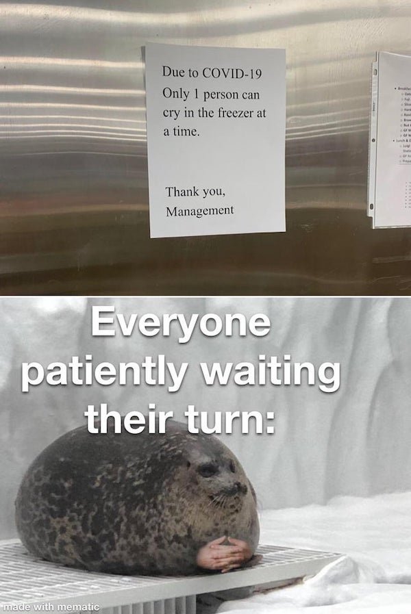funny depressing memes - Due to Covid19 Only 1 person can cry in the freezer at a time. On Thank you, Management Everyone patiently waiting their turn
