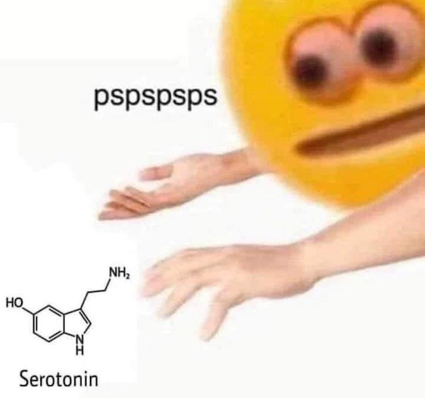 funny depressing memes - pspsps serotonin meme