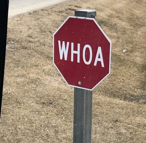 “This Amish village has ‘WHOA’ signs for their horses, instead of stop signs.”