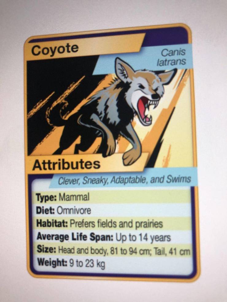 “My teacher made Pokémon animal type of cards for science.”