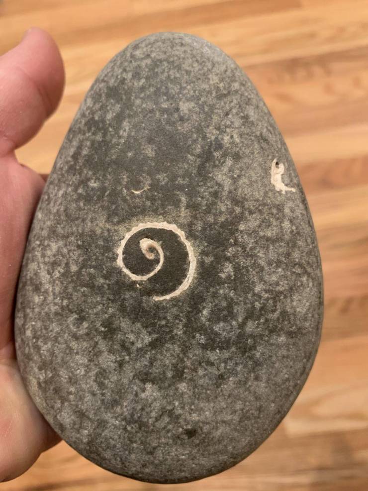“This rock I found has a shell inside it and it’s been worn away to a flat spiral in appearance.”