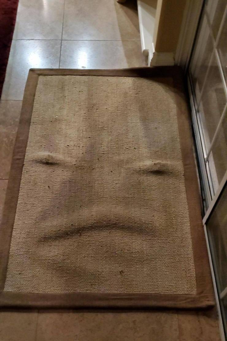 “I machine washed my rug and now it gives me a nasty look.”