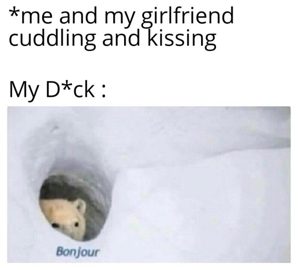 lord of the rings meme - me and my girlfriend cuddling and kissing My Dick Bonjour