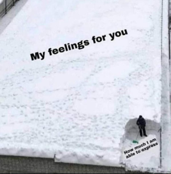 my feelings for you meme - My feelings for you How much I am able to express