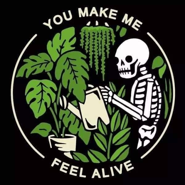 wicked clothing plants - You Make Me Feel Alive