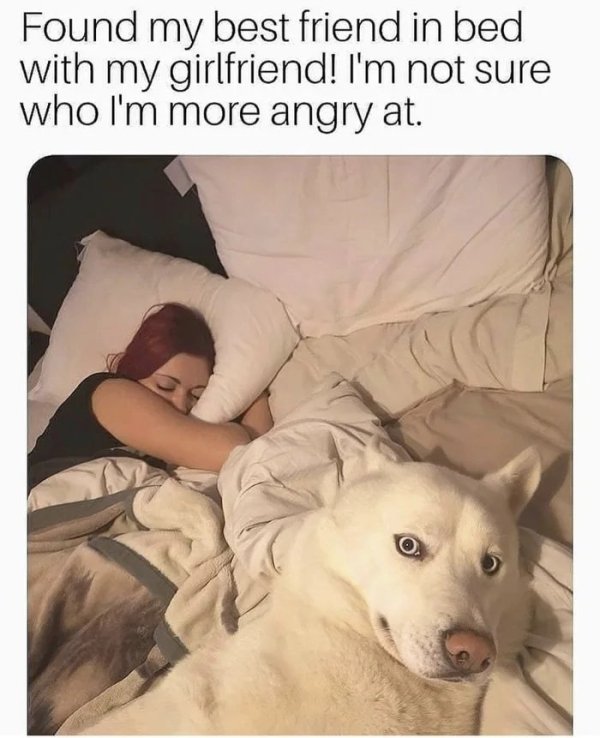 photo caption - Found my best friend in bed with my girlfriend! I'm not sure who I'm more angry at.