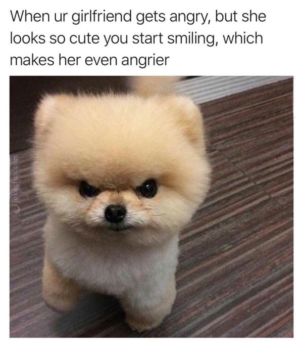 memes that will make you laugh - When ur girlfriend gets angry, but she looks so cute you start smiling, which makes her even angrier joke4fun.com